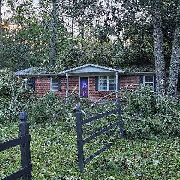 Fallen trees and limbs across the front yard of a brick house after a storm